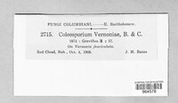 Image Associated With the Occurence